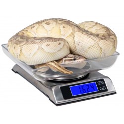 Vivarium Electronics DS-6000 Digital Scale