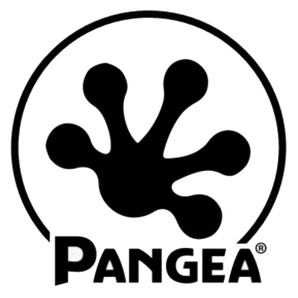 Pangea Reptile